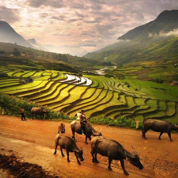 VẺ ĐẸP HOANG SƠ CỦA BẢN Ý LINH HỒ Ở SAPA
