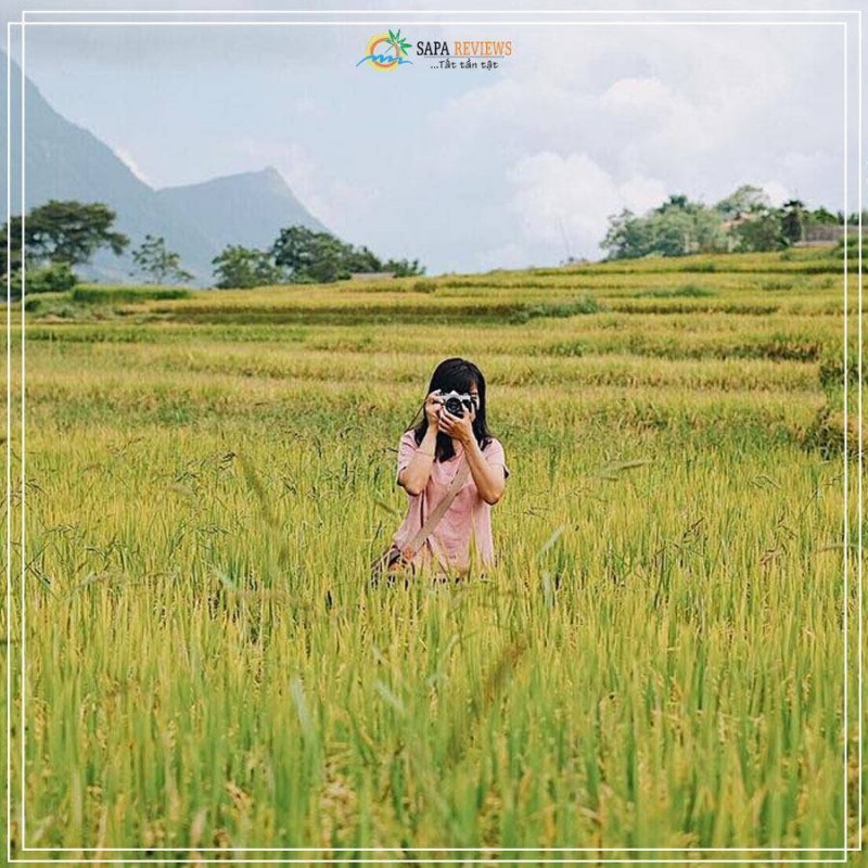 đi du lịch Sapa mùa lúa chín