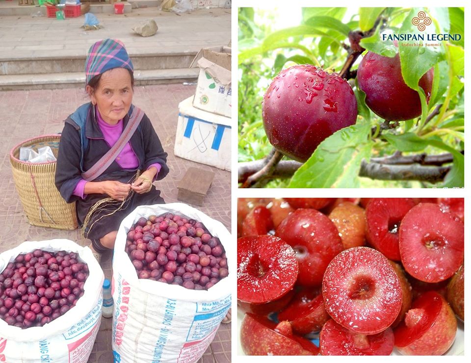 List thức quà đặc trưng nhất vùng Tây Bắc mà bạn nhất định phải “rước” về khi đi du lịch Sapa mùa hè này (Phần 1)