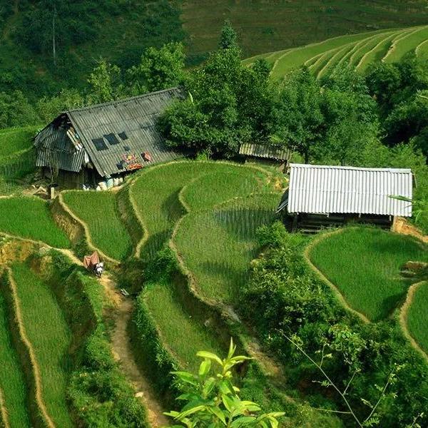 KHÁM PHÁ BẢN HỒ SAPA - QUYẾN LUYẾN CHẲNG MUỐN VỀ