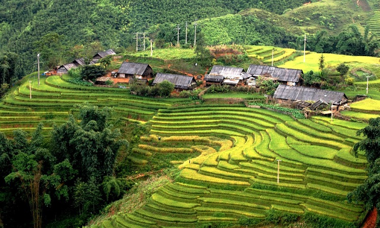 VẺ ĐẸP HOANG SƠ CỦA BẢN SÍN CHẢI -SAPA