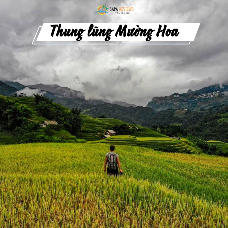 du lịch sapa 