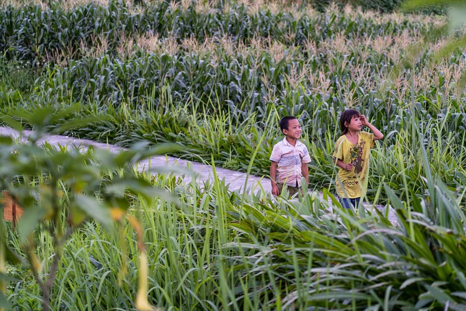 du lịch sapa bản tả van
