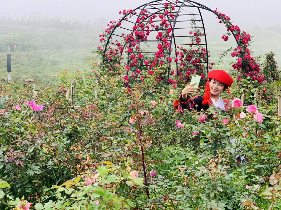 du lịch sapa check in 