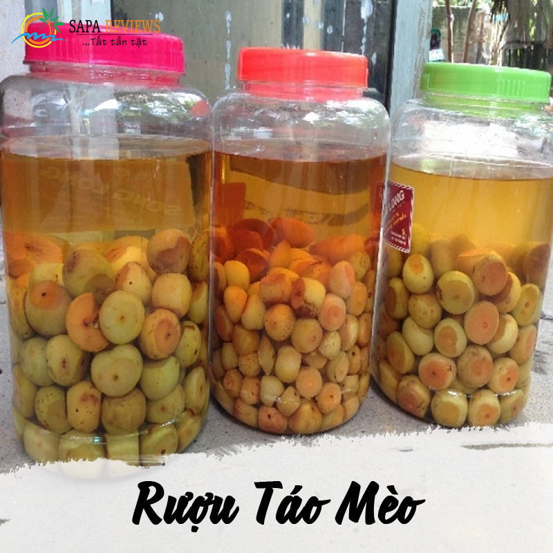 Bỗng dưng muốn nhậu khi du lịch Sapa thì đi đâu?