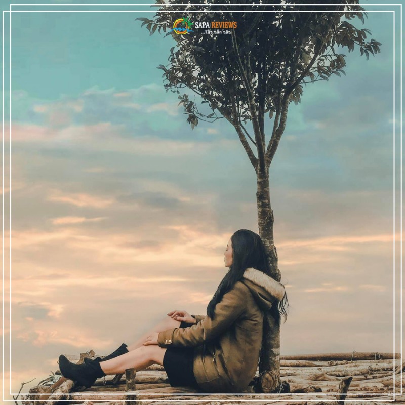 du lịch sapa săn mây 