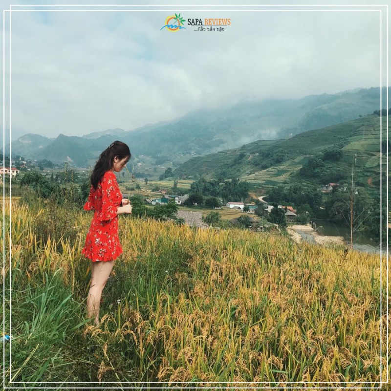 du lịch sapa mùa lúa chín 