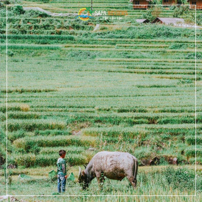  Bãi đá cổ Sapa – du lịch Sapa trải nghiệm có gì thú vị