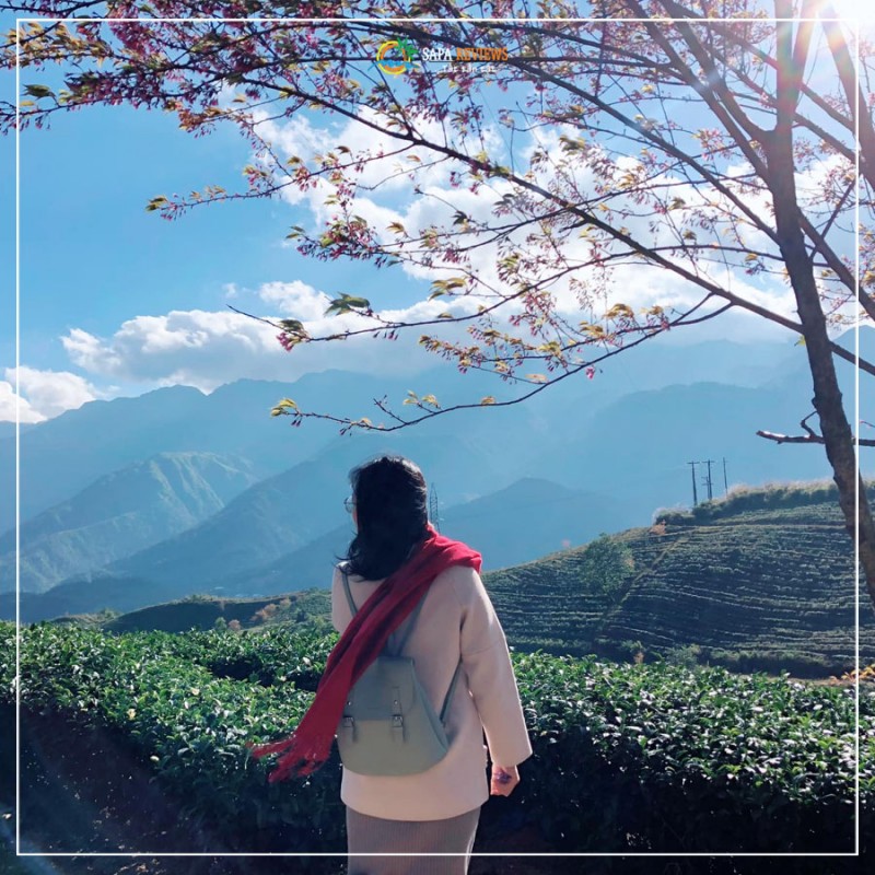 Vi vu du lịch Sapa những ngày đầu đông cần chú ý điều gì?