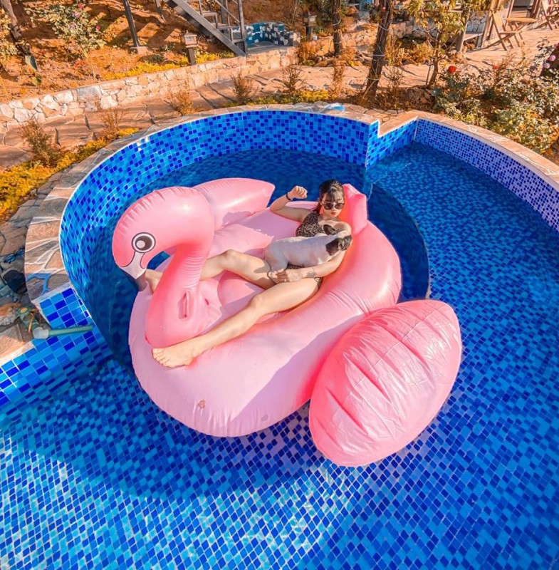 COMBO VÉ XE VÀ PHÒNG BEE HOMESTAY SAPA