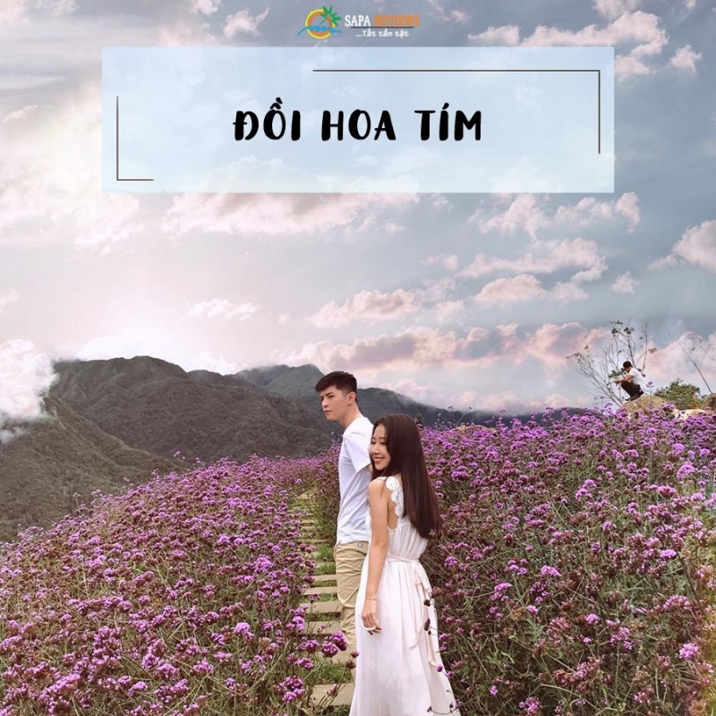 Du lịch Sapa săn hoa tháng 8, trải nghiệm tuyệt vời không thể bỏ lỡ