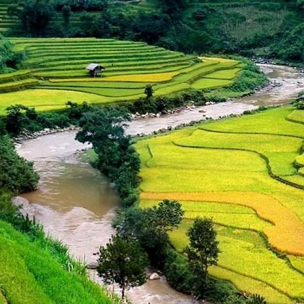 SUỐI MƯỜNG HOA - SAPA