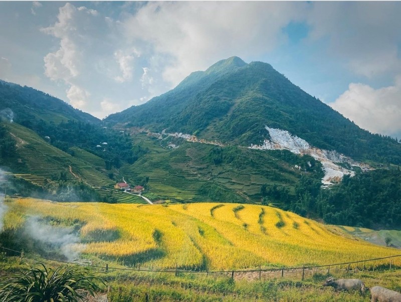 du lịch sapa mùa lúa