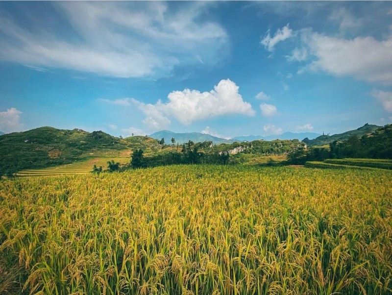 du lịch sapa 
