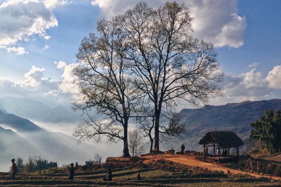 du lịch sapa y tý
