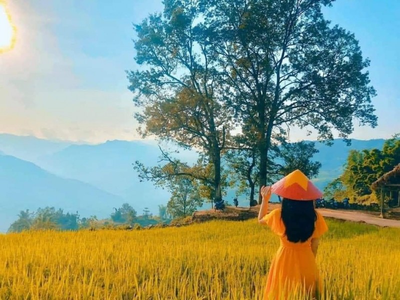 du lịch sapa y tý
