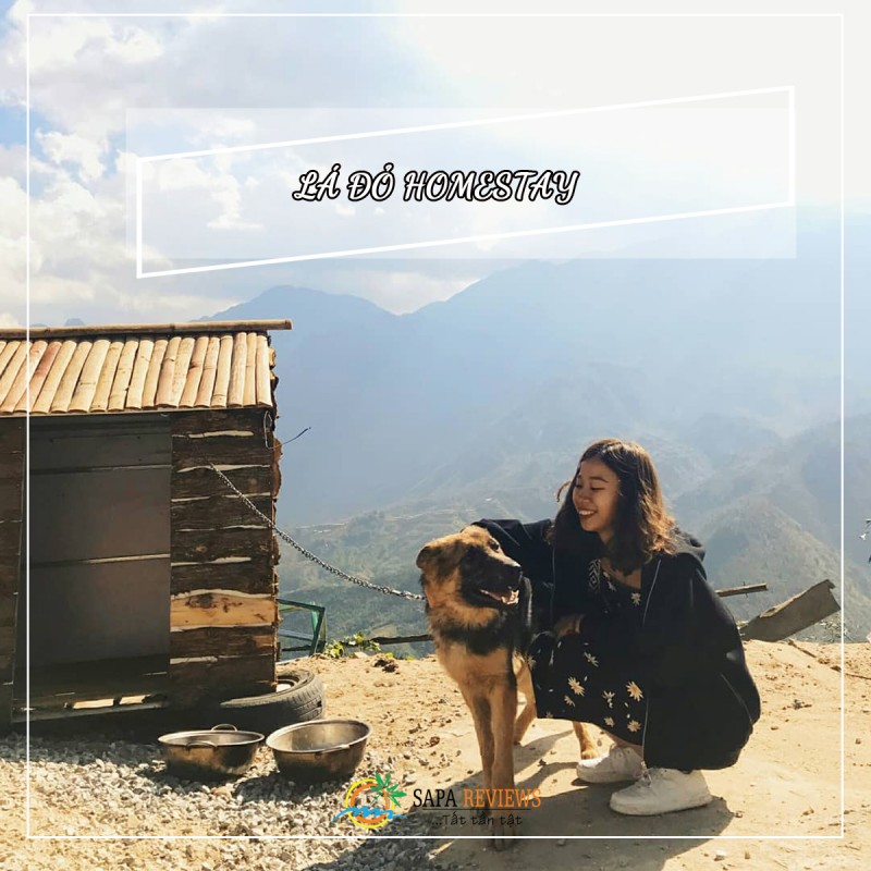 du lịch sapa với thú cưng