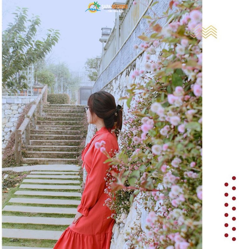 lịch trình du lịch Sapa 3 ngày 2 đêm đồi hoa hồng cổ