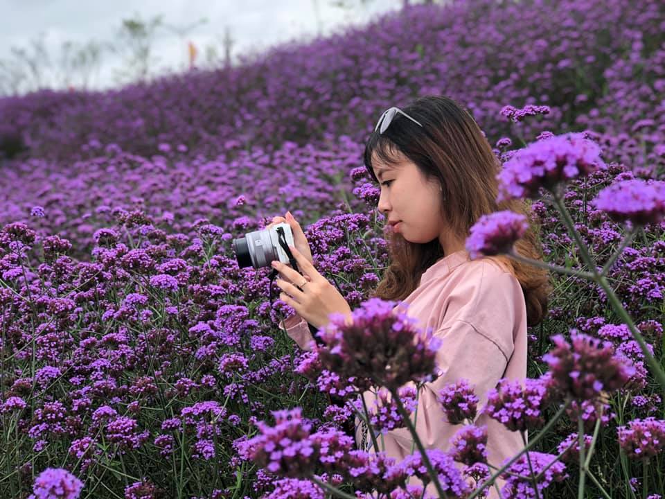 lịch trình du lịch Sapa 3 ngày 2 đêm mang theo máy chụp hình