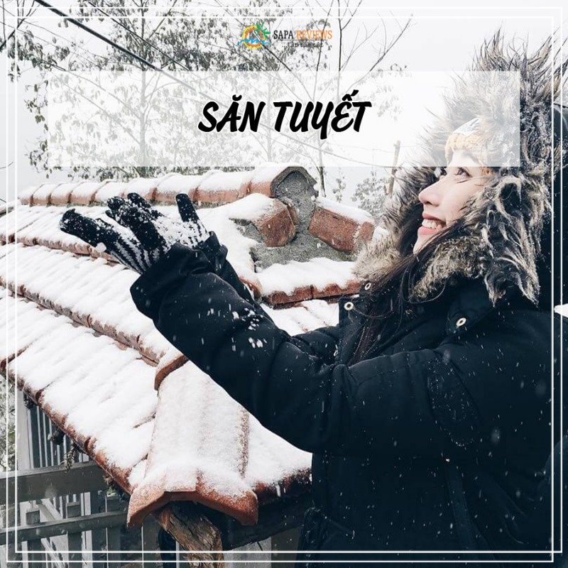 du lịch sapa săn tuyết 