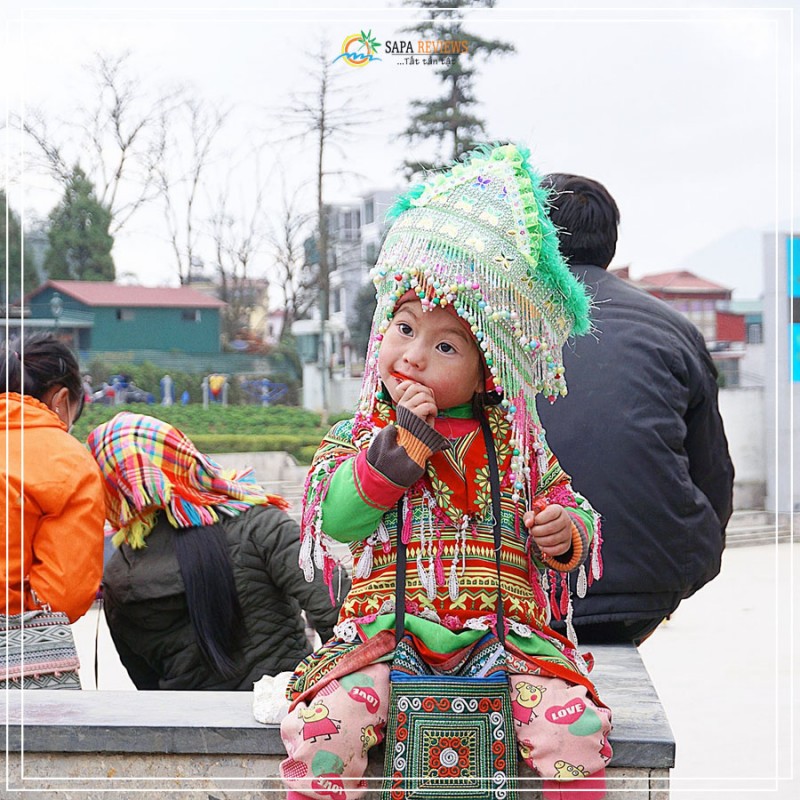 Cập nhật thông tin mới nhất cho chuyến du lịch Sapa của bạn