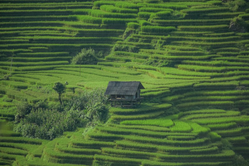 du lịch sapa trải nghiệm 