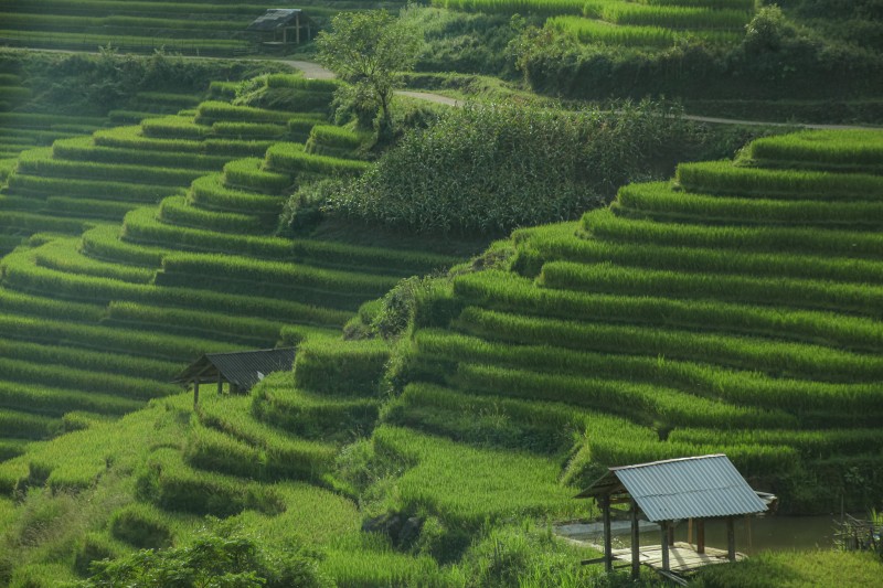 du lịch sapa vào bản