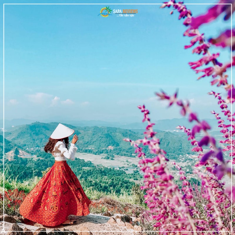 du lịch sapa mùa lúa