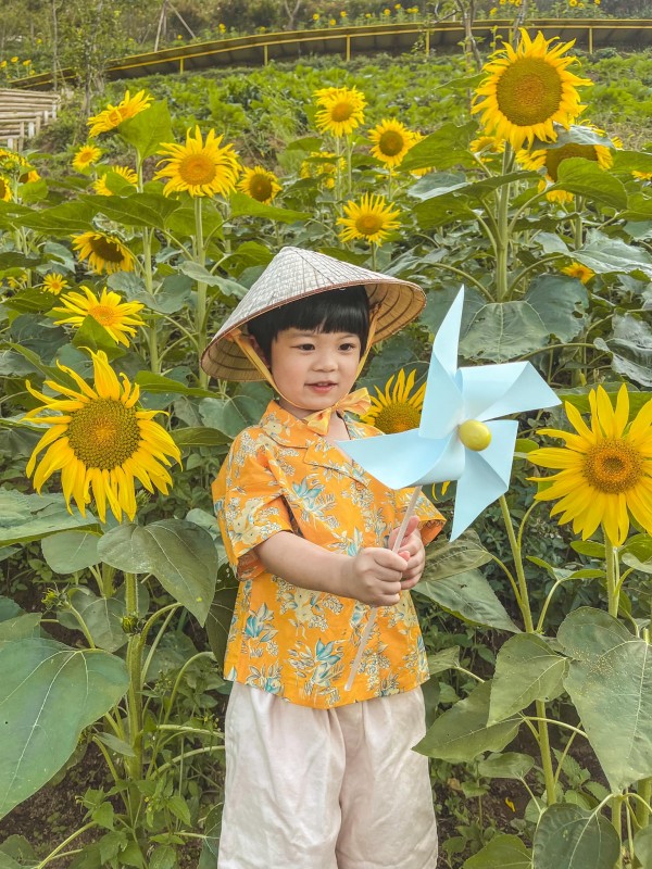 du lịch sapa săn hoa tháng 8