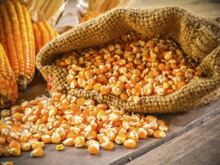 du lịch sapa mèn mén 