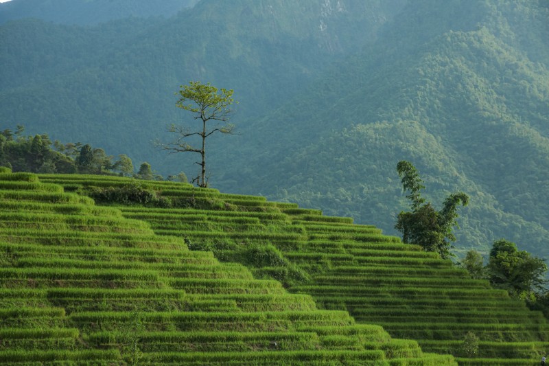 du lịch sapa nậm cang 