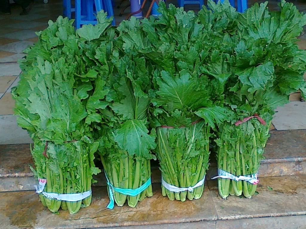 du lịch Sapa rau cải mèo