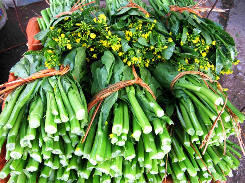du lịch Sapa rau cải ngồng 