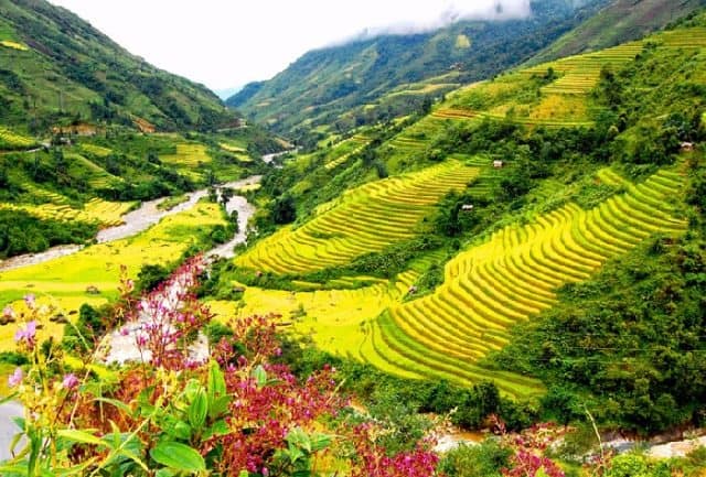 du lịch sapa thung lũng mường hoa 